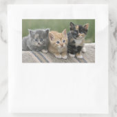 馬毛布の納屋の子猫 長方形シール (バッグ)