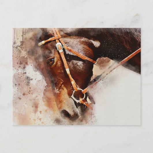 馬水彩画 ポストカード (正面)