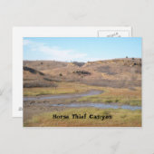 馬泥棒の峡谷 ポストカード (正面/裏面)
