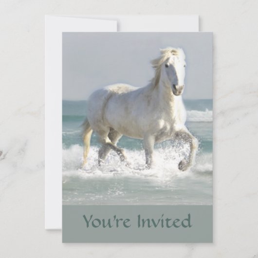 馬海美しい招待状 招待状 (正面)