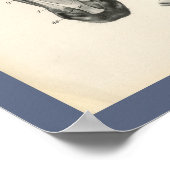 馬獣医スカル頭筋解剖学プリント ポスター (角)