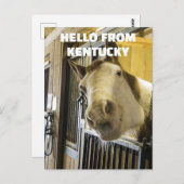 馬用ケンタッキーおもしろい葉書 ポストカード (正面/裏面)