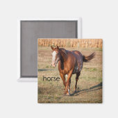 馬用冷凍機マグネット マグネット (正面/裏面)