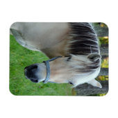 馬用可撓磁石 マグネット (横)