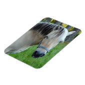 馬用可撓磁石 マグネット (左側)