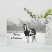 馬白雪写真クリスマスフラット シーズンカード (スタンド正面)