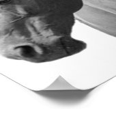 馬白黒スタイルモダンポスター ポスター (角)