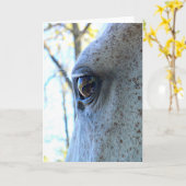 馬目グリーティングカード カード (黄色い花)