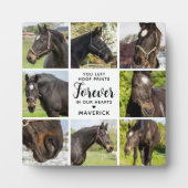 馬碑パーソナライズされた8ペットコラージュ フォトプラーク (正面)