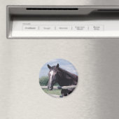 馬磁石 マグネット (インサイチュ (食洗機))