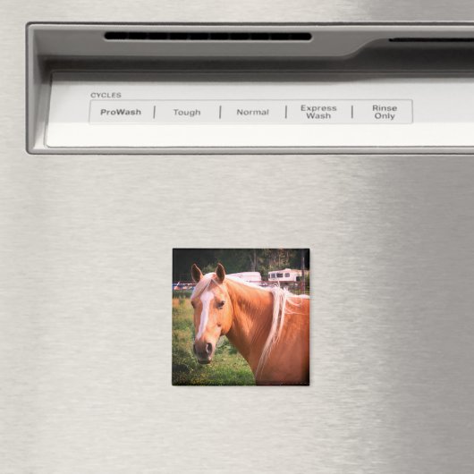 馬磁石 マグネット (インサイチュ (食洗機))