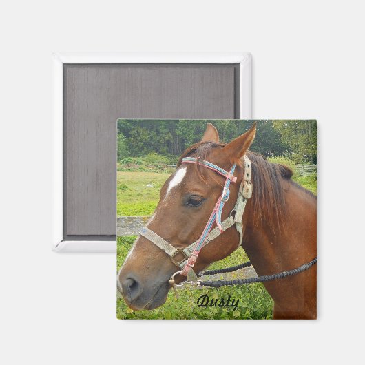 馬磁石 マグネット (正面/裏面)