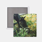 馬磁石 マグネット (正面/裏面)