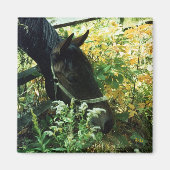 馬磁石 マグネット (正面)