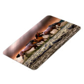 馬磁石 マグネット (左側)