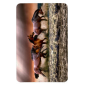 馬磁石 マグネット (縦)