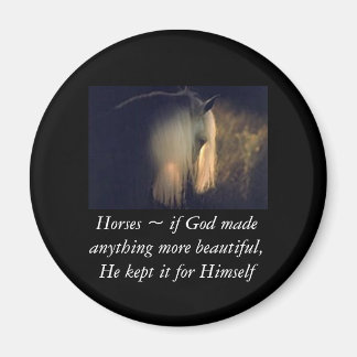 馬磁石 マグネット