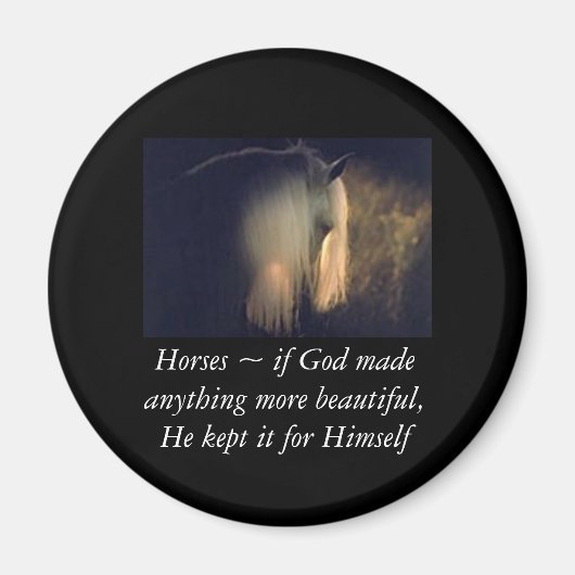 馬磁石 マグネット (正面)