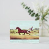 馬祝、ジョージ・M・パッチェン ポストカード (スタンド正面)