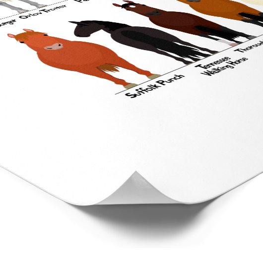 馬種図52種 ポスター (角)