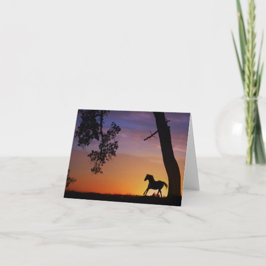 馬空白の札カード カード (正面)