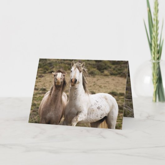 馬笑いワイルドホース挨拶カード カード (正面)