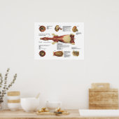 馬筋内臓解剖図 ポスター (キッチン)