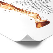 馬筋解剖図 ポスター (角)