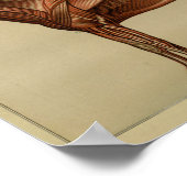 馬筋解剖学プリント ポスター (角)