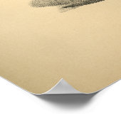 馬筋解剖学1908ヴィンテージプリント ポスター (角)