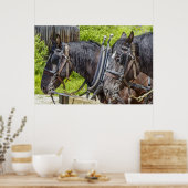 馬素晴らしの馬具 ポスター (キッチン)