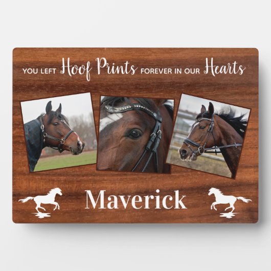 馬素朴記念碑 フォトプラーク (正面)