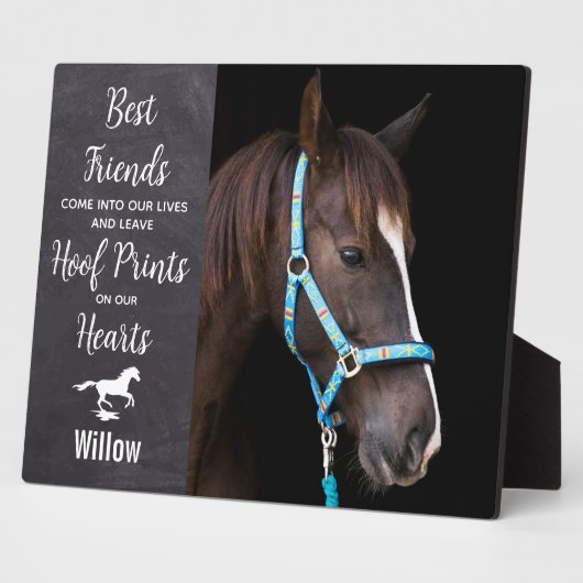 馬素朴馬馬競馬記念碑 フォトプラーク (側面)