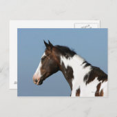 馬絵を描のヘッドショット1 ポストカード (正面/裏面)