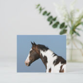 馬絵を描のヘッドショット1 ポストカード (スタンド正面)