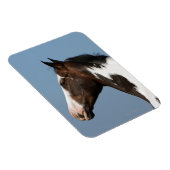 馬絵を描のヘッドショット1 マグネット (右側)