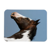 馬絵を描のヘッドショット1 マグネット (横)