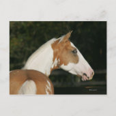 馬絵を描のヘッドショット2 ポストカード (正面)