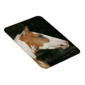 馬絵を描のヘッドショット2 マグネット (右側)