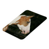 馬絵を描のヘッドショット2 マグネット (左側)