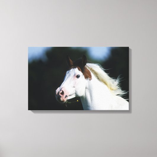 馬絵を描のヘッドショット3 キャンバスプリント (正面)