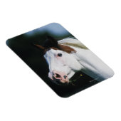 馬絵を描のヘッドショット3 マグネット (右側)