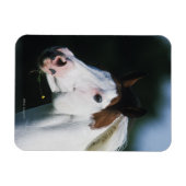 馬絵を描のヘッドショット3 マグネット (横)