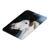 馬絵を描のヘッドショット3 マグネット (左側)