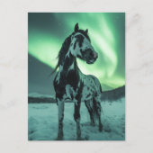 馬絵を描の北灯 ポストカード (正面)