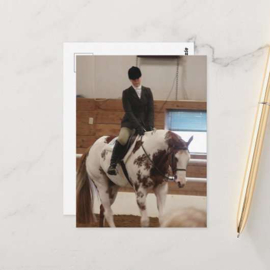 馬絵を描ショーに出る馬 ポストカード (正面/裏面インサイチュ)