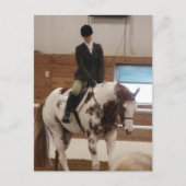 馬絵を描ショーに出る馬 ポストカード (正面)