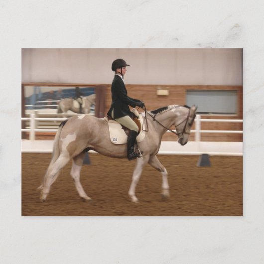 馬絵を描ショーに出る馬 ポストカード (正面)