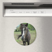 馬絵を描 マグネット (インサイチュ (食洗機))