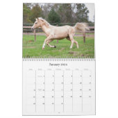 馬美しい カレンダー (1月 2024)